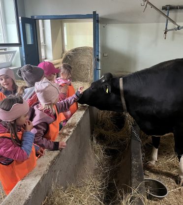 MŠ na veterinární univerzitě