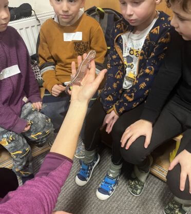 Kam se plazí plazi – MŠ